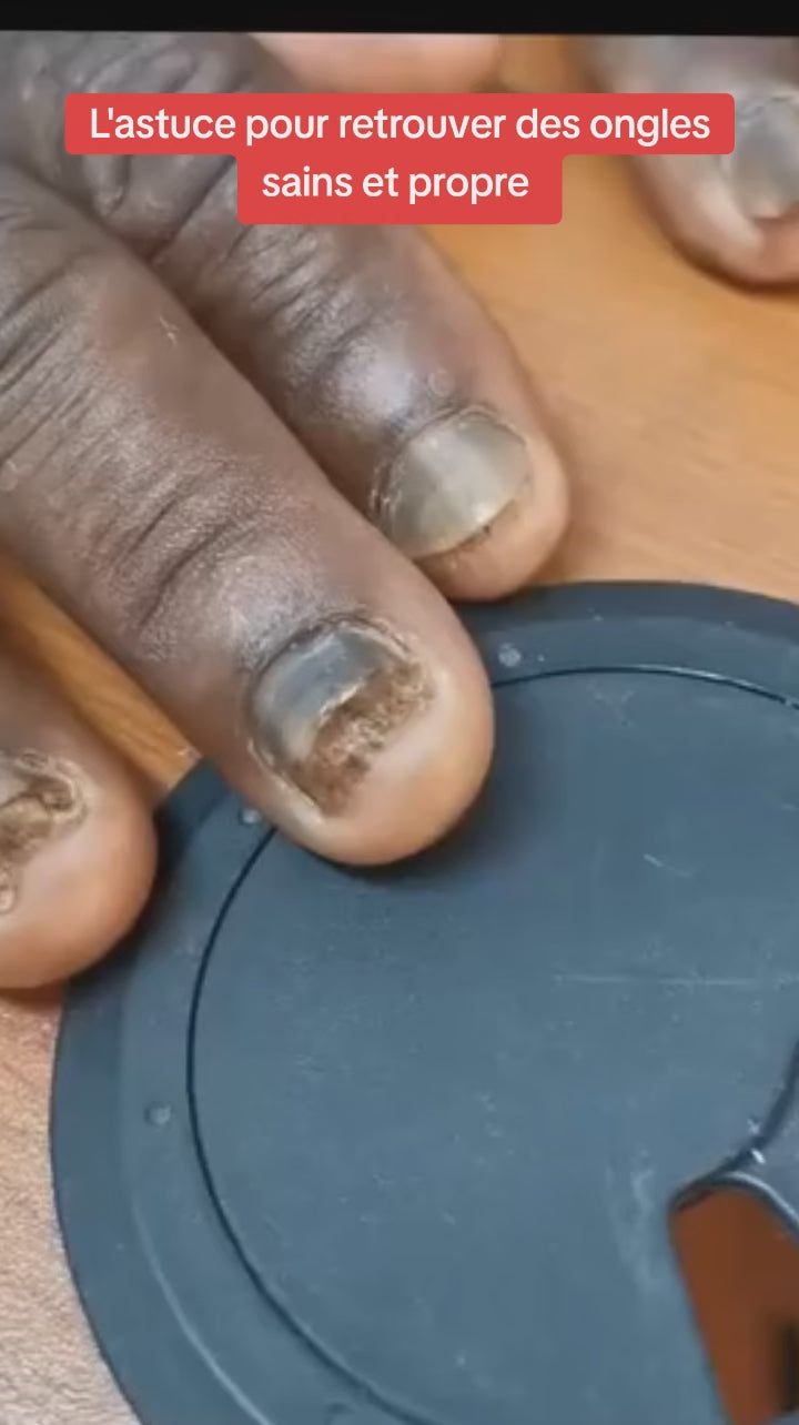 Charger la vidéo : 